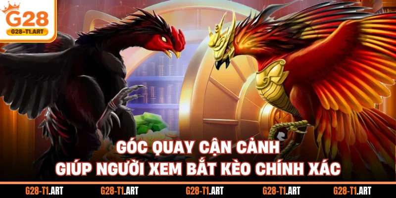 Góc Quay Cận Cảnh Giúp Người Xem Bắt Kèo Chính Xác