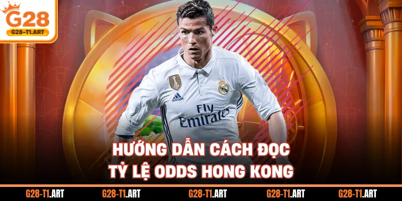 Hướng Dẫn Cách Đọc Tỷ Lệ Odds Hong Kong